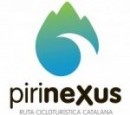 Pirinexus