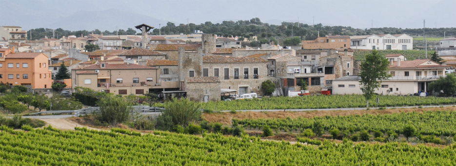 Benvinguts a Capmany!